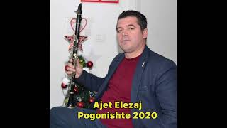 Ajet Elezaj  Pogonishte 2020 [upl. by Fonda]