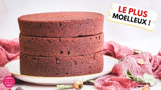 LE GÂTEAU AU CHOCOLAT PARFAIT POUR LES LAYER CAKES [upl. by Mcbride]