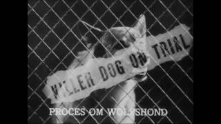 Killer Dog 1936 [upl. by Durham]