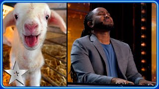 Simon Cowells DOGS perform in Kevon Carters HILARIOUS audition  Auditions  BGT 2024 [upl. by Larrad466]