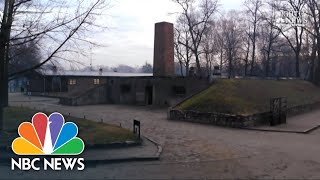 Auschwitz Survivors Return To Death Camp 75 Years Later‌  NBC Nightly News [upl. by Mogerly722]