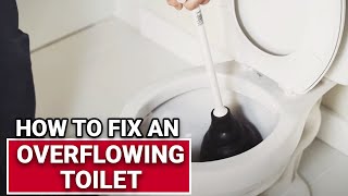 How To Fix An Overflowing Toilet  Ace Hardware [upl. by Tyne]