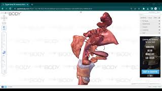 L9 ANATOMY Pharynx [upl. by Farwell]