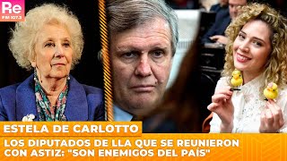 Estela de Carlotto sobre los diputados de LLA que se reunieron con Astiz quotSon enemigos del paísquot [upl. by Limoli426]