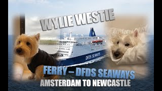 PET FRIENDLY CABIN  DFDS FERRY Amsterdam to Newcastle  Wylie Westies FIRST time in the UK [upl. by Earal]