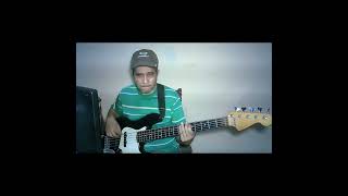 Soltera  Shakira Bass Cover [upl. by Airekat]