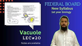 Vacuole  Vacuole structure and function  class 11 [upl. by Elita]