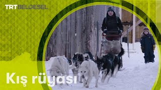 Kış Rüyası  Bir Dünya Yaşam  TRT Belgesel [upl. by Haidabo35]