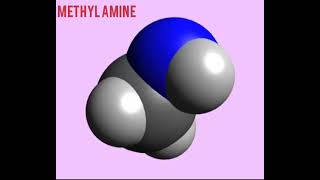 Methyl amine organo nitrogen compounds 3D structure [upl. by Scrogan74]