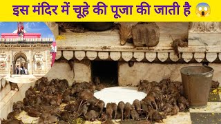 इस मंदिर में चूहे की पूजा की जाती है 😱  Mysterious Temple a2zfacts karanimata viralvideo [upl. by Raddy]