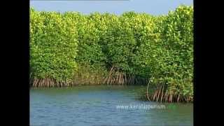 Kumarakom Responsible Tourism initiatives [upl. by Adnahsed]