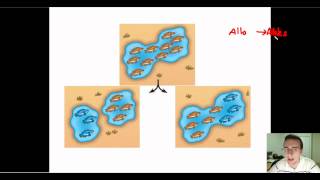 Speciation Part 1 Allopatric vs Sympatric [upl. by Boonie]