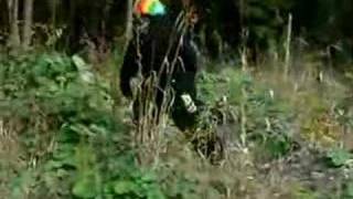 HIPPIES SHOCKING BIGFOOT VIDEO [upl. by Alyworth]