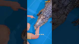 How To Escape An Alligator Death Roll😨shorts [upl. by Silvia]