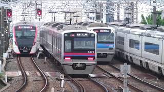 Railway Races in Japan [upl. by Ylrad59]