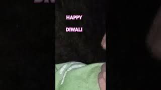 HAPPY DIWALI SHORTSVIDEYO [upl. by Ocinom]