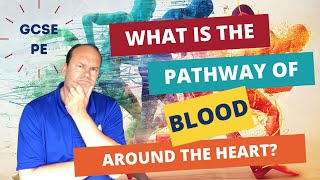 GCSE PE What is the pathway of blood around the heart [upl. by Defant]