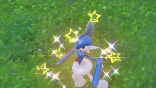 PEV  Gallame Gallade Shiny [upl. by Holtz453]