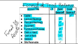 format of trial balancetrial balance format in Hindi and Englishtrial balance format [upl. by Nigle684]