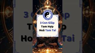 3 CON GIÁP TAM HỢP HOÁ TAM TAI tuvi tuvimienphi xemtuvimienphi shortvideo shorts [upl. by Akienaj787]