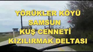 Samsun 19 Mayıs  Kuş Cenneti Yörükler Köyü  Autovlog [upl. by Tucker]