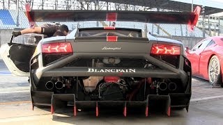 2013 Lamborghini Gallardo Super Trofeo Amazing V10 Sound [upl. by Agueda]