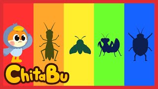 🪰Wo sind die Insekten🪲  Liedersammlung  Beliebte Kinderlieder  Chitabu [upl. by Milo]