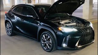 20192024 Lexus UX 200250 H  F sport low beam headlight adjustment lexus headlight fix [upl. by Mehta]