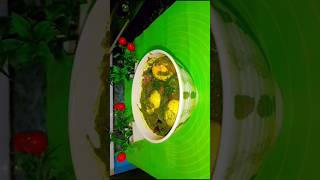 dhaba style Palak anda curryPalak egg curryyoutubeshorts viralvideo [upl. by Niledam]