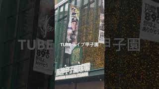 9年ぶりTUBEライブ甲子園参戦 [upl. by Pero]