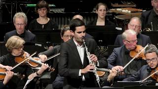 Vitor Fernandes plays Van der Roost Clarinet Concerto [upl. by Spanjian]