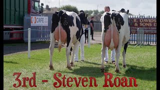 Holstein PairsDumfries Show 2024Next video Baileys Champion cow [upl. by Roche603]