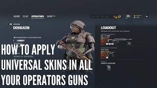 Rainbow Six Siege  How to apply Universal Skins in all guns [upl. by Niledam638]