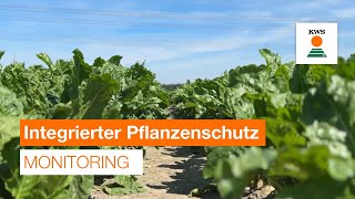 Monitoring  Integrierter Pflanzenschutz [upl. by Garda]