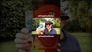 Sam Adams Oktoberfest Beer Review Revisit by A Beer Snobs Cheap Brew Review shorts [upl. by Yv637]