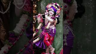 Radha Rani status  radhe Krishna RadheRadhe radheshyam radheradhe radhekrishna [upl. by Elsa291]