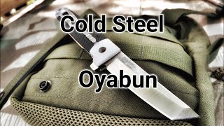 Hier eine Kurzvorstellung des Oyabun Taschenmessers von Cold Steel [upl. by Ingvar]