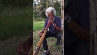 Didgeridoo Sound Healing [upl. by Iman]