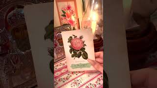 TAURUS 💫 ADVICE FROM THE SPIRIT 💫 taurus tarot shorts cardreading lovereading [upl. by Lenoj401]