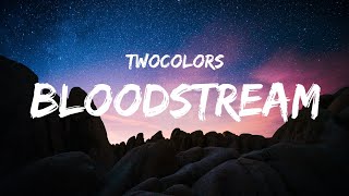 twocolors  Bloodstream Lyrics [upl. by Mcconnell234]