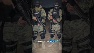 CARTEL DEL NORESTE SUCESORES DE LOS ZETAS🇲🇽☠️ shorts mexico military narcos facts [upl. by Vergil]