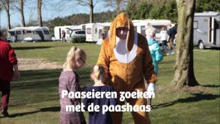 Camping de Otterberg Wijster [upl. by Iot]