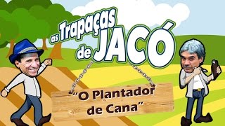 AS TRAPAÇAS DE JACÓ  O PLANTADOR DE CANA [upl. by Uuge]