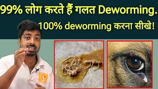 How to do 100 successful deworming in dog [upl. by Akimehs150]