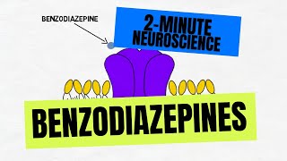 2Minute Neuroscience Benzodiazepines [upl. by Imeaj]