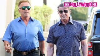 Sylvester Stallone amp Arnold Schwarzenegger Speak On Creed 3 While Leaving Lunch In Beverly Hills [upl. by Leahicm]