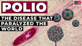 Polio The Disease that Paralyzed the World [upl. by Yenahc84]