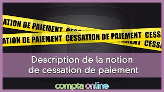 Létat de cessation de paiement dune entreprise [upl. by Farl]