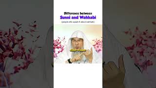 Difference between sunni and Wahhabi  people who talk ill about wahhabism  islam quran muslim [upl. by Anayt]