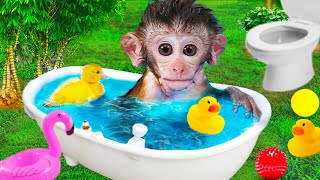 Baby Monkey Bon Bon takes a bath in the garden with the ducks [upl. by Stalk]